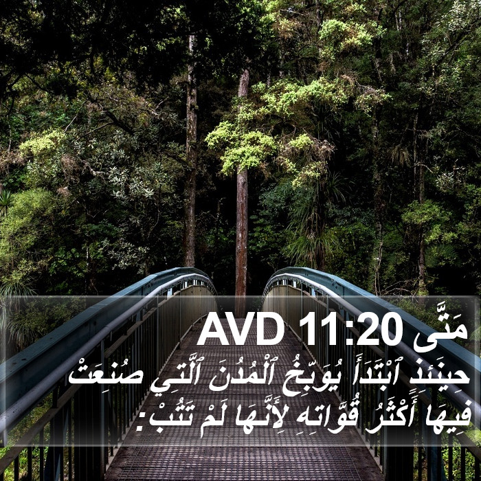 مَتَّى 11:20 AVD Bible Study