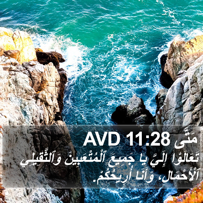 مَتَّى 11:28 AVD Bible Study