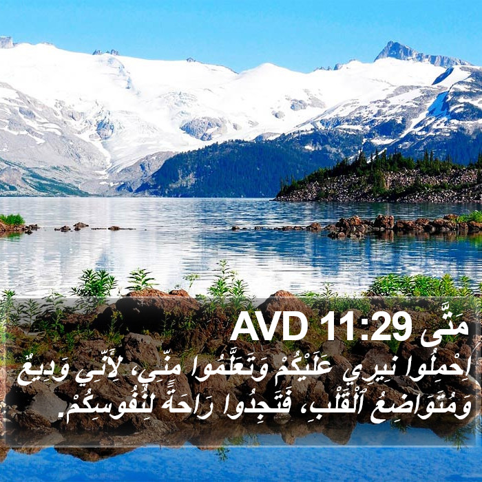 مَتَّى 11:29 AVD Bible Study