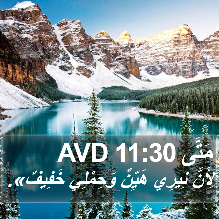 مَتَّى 11:30 AVD Bible Study