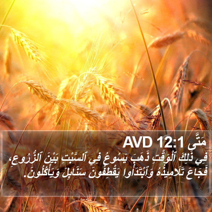مَتَّى 12:1 AVD Bible Study