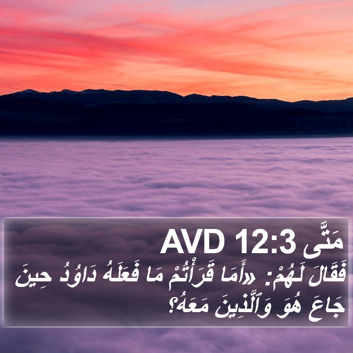 مَتَّى 12:3 AVD Bible Study