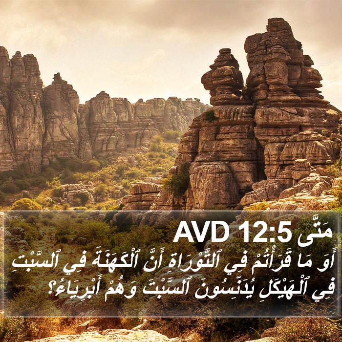 مَتَّى 12:5 AVD Bible Study