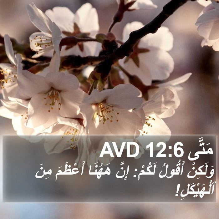 مَتَّى 12:6 AVD Bible Study