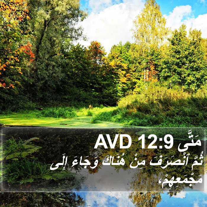 مَتَّى 12:9 AVD Bible Study