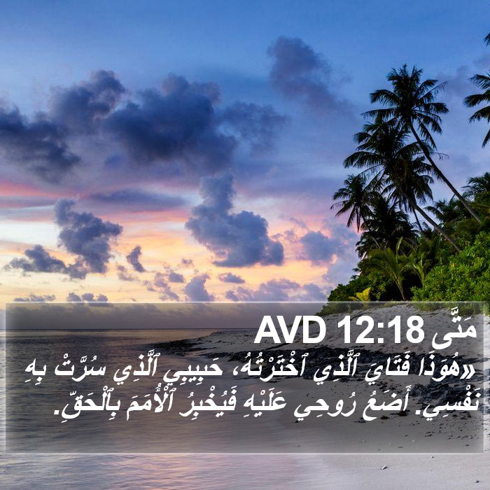 مَتَّى 12:18 AVD Bible Study