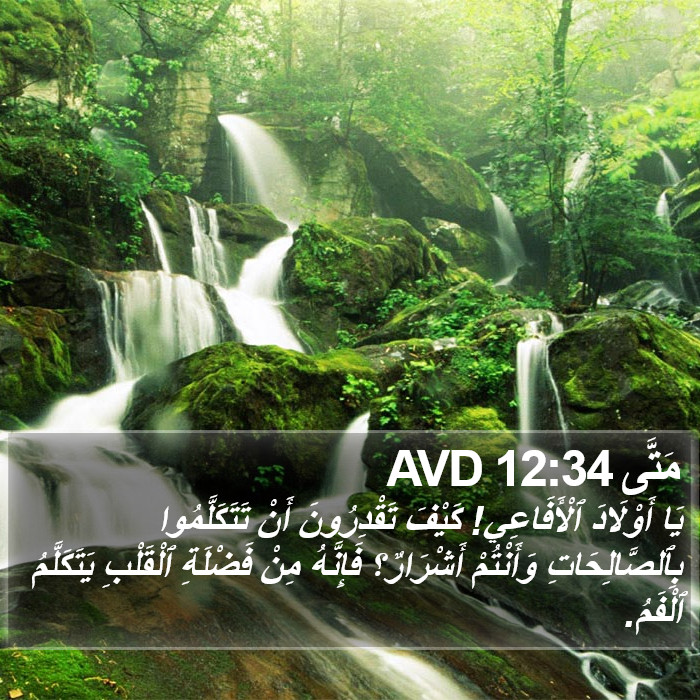 مَتَّى 12:34 AVD Bible Study