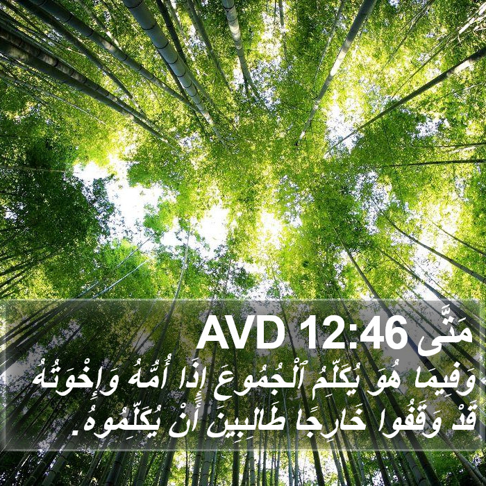 مَتَّى 12:46 AVD Bible Study