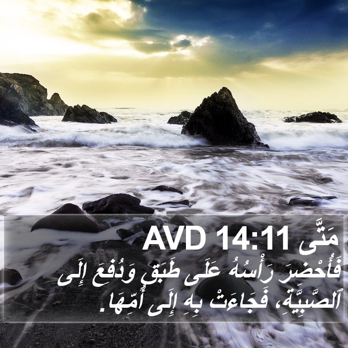 مَتَّى 14:11 AVD Bible Study