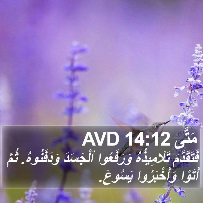 مَتَّى 14:12 AVD Bible Study