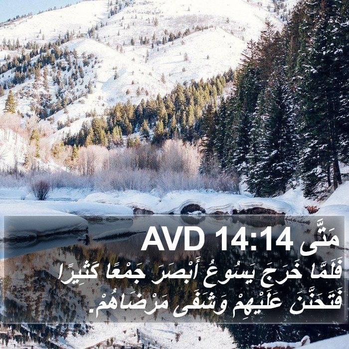 مَتَّى 14:14 AVD Bible Study