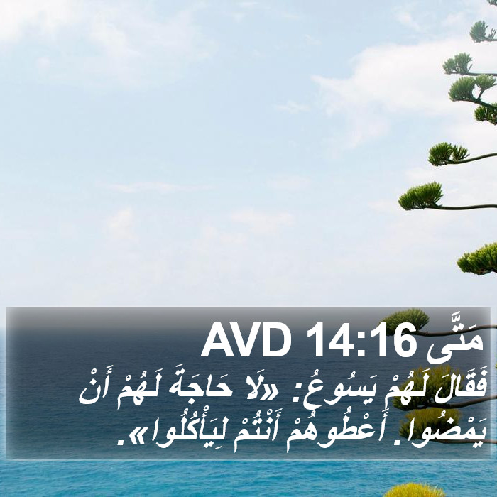 مَتَّى 14:16 AVD Bible Study