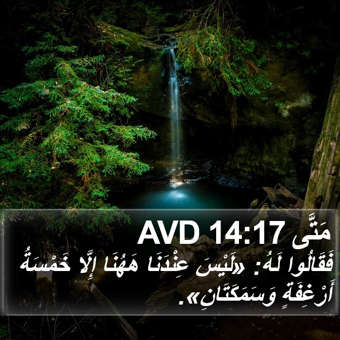 مَتَّى 14:17 AVD Bible Study