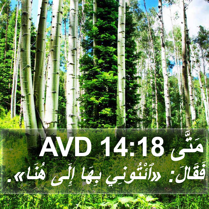 مَتَّى 14:18 AVD Bible Study
