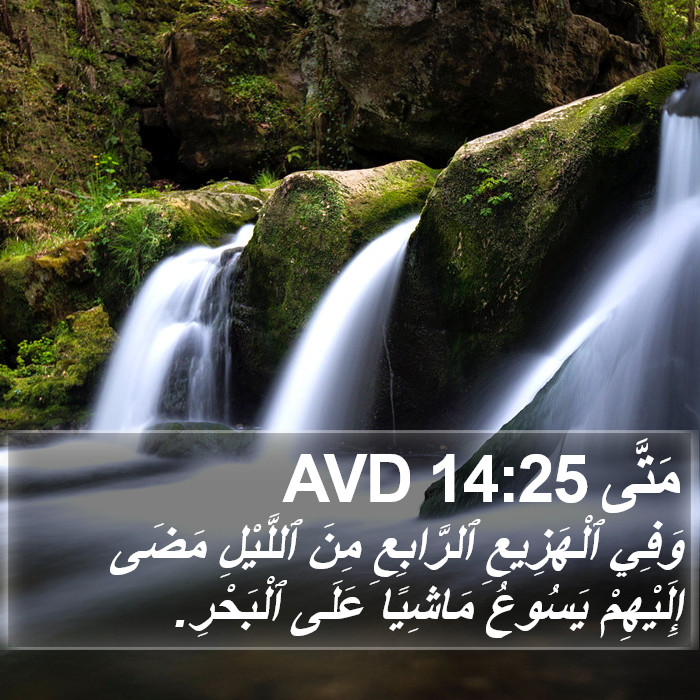 مَتَّى 14:25 AVD Bible Study