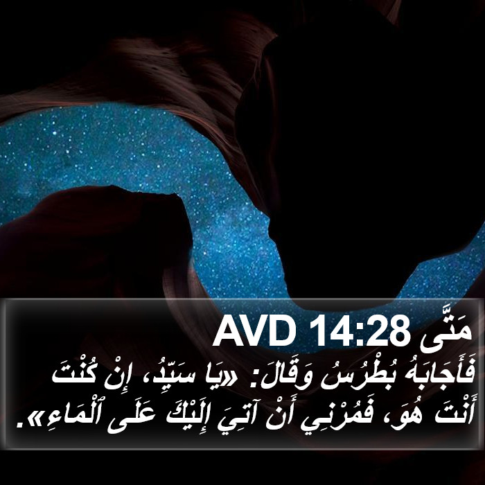 مَتَّى 14:28 AVD Bible Study