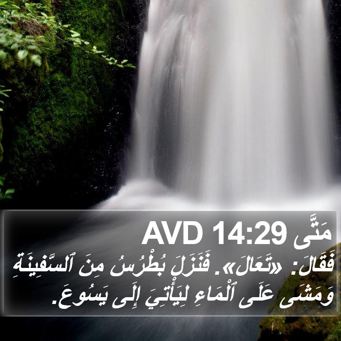 مَتَّى 14:29 AVD Bible Study