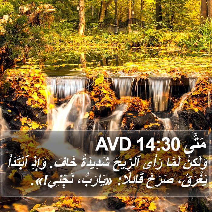 مَتَّى 14:30 AVD Bible Study