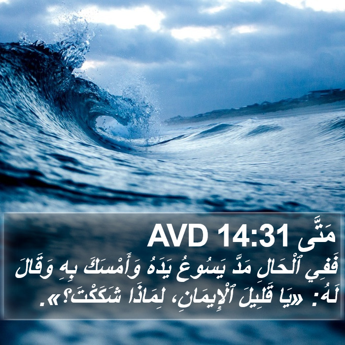 مَتَّى 14:31 AVD Bible Study