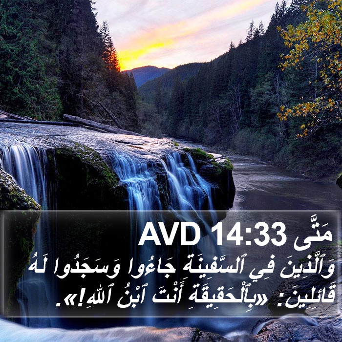 مَتَّى 14:33 AVD Bible Study
