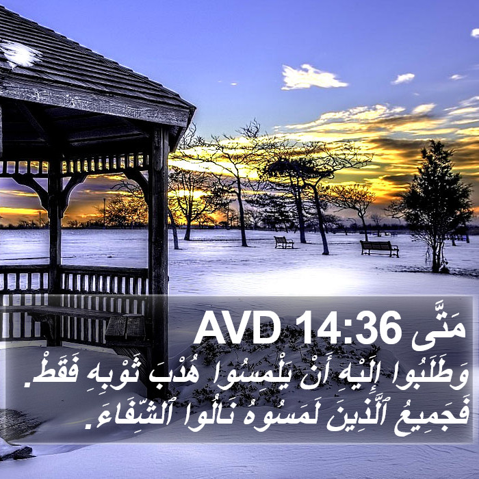 مَتَّى 14:36 AVD Bible Study