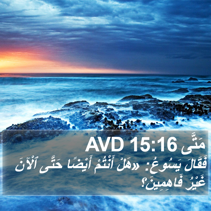 مَتَّى 15:16 AVD Bible Study