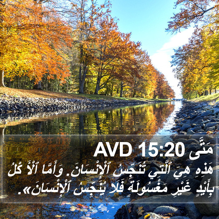 مَتَّى 15:20 AVD Bible Study