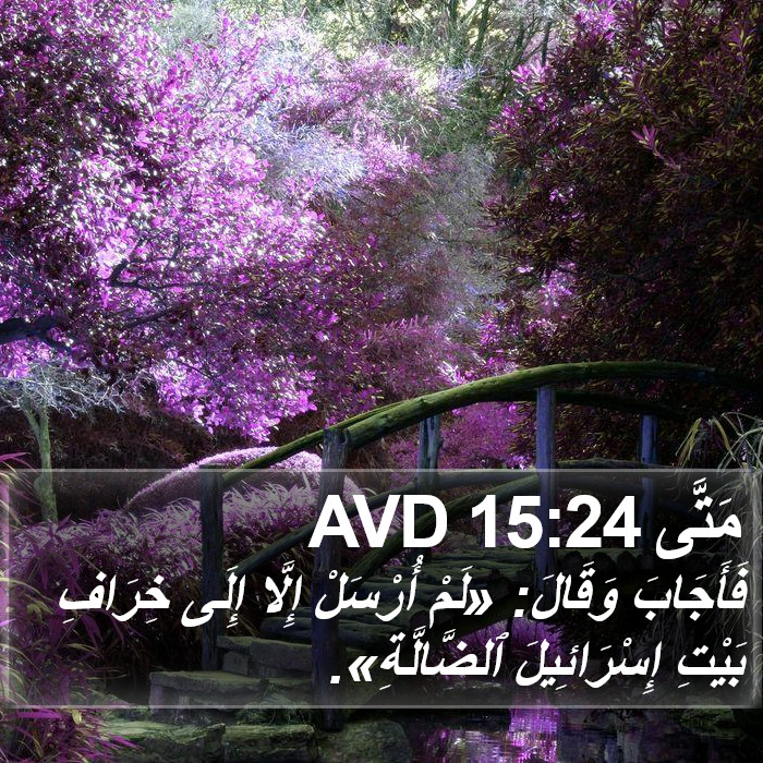 مَتَّى 15:24 AVD Bible Study
