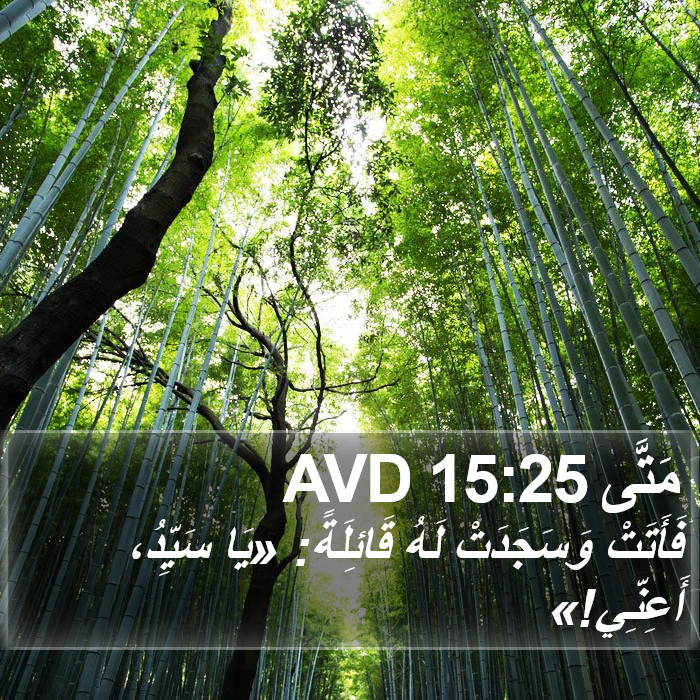 مَتَّى 15:25 AVD Bible Study