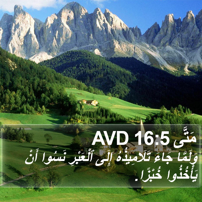 مَتَّى 16:5 AVD Bible Study