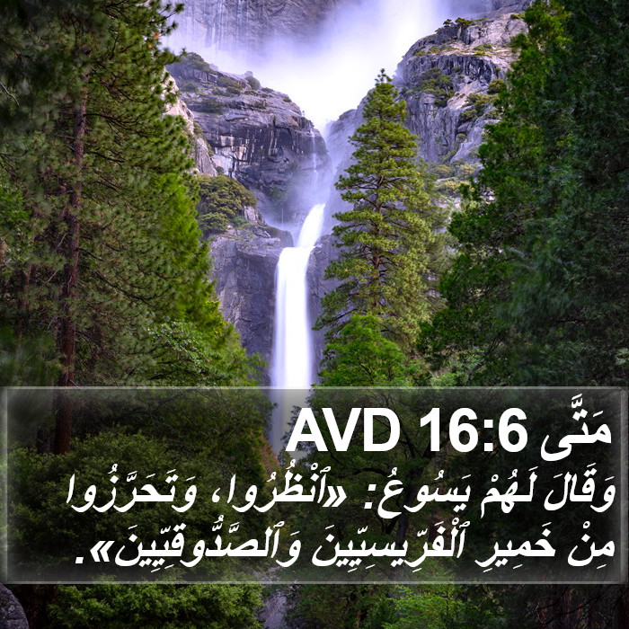 مَتَّى 16:6 AVD Bible Study