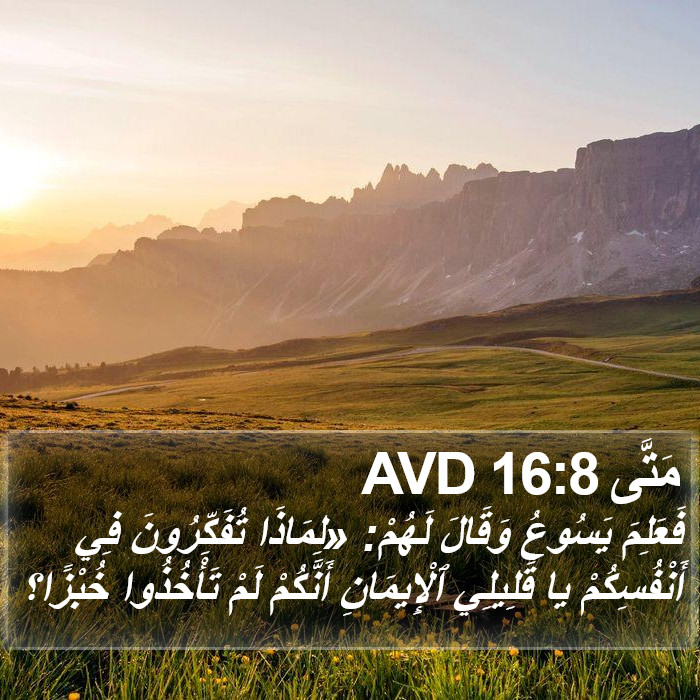 مَتَّى 16:8 AVD Bible Study