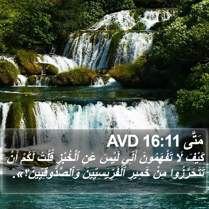 مَتَّى 16:11 AVD Bible Study