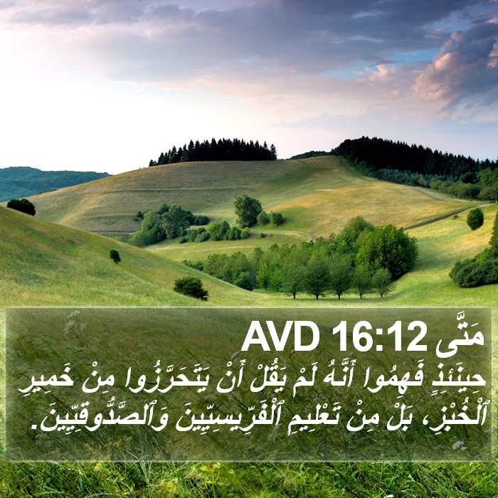 مَتَّى 16:12 AVD Bible Study