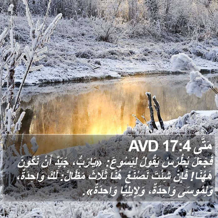 مَتَّى 17:4 AVD Bible Study