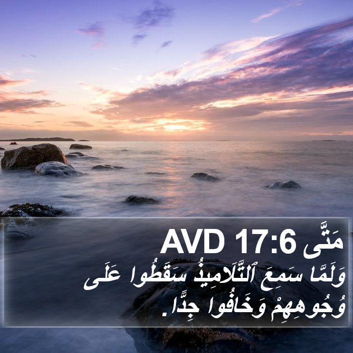 مَتَّى 17:6 AVD Bible Study