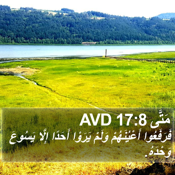 مَتَّى 17:8 AVD Bible Study