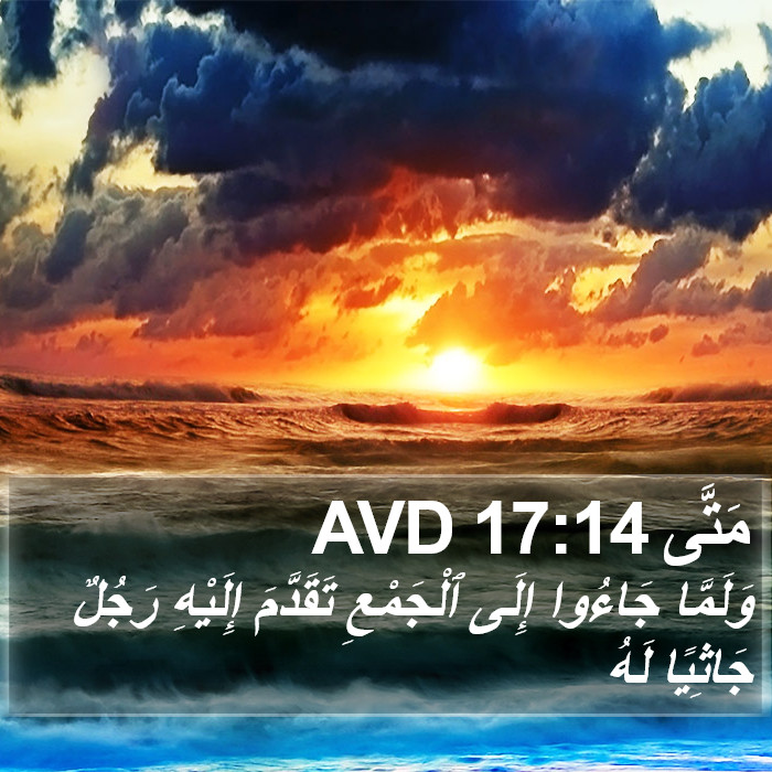 مَتَّى 17:14 AVD Bible Study