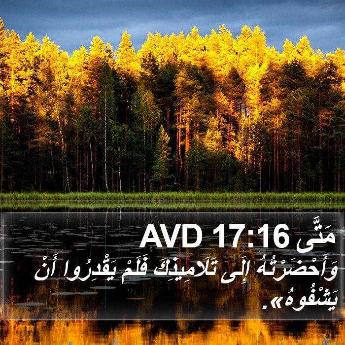 مَتَّى 17:16 AVD Bible Study