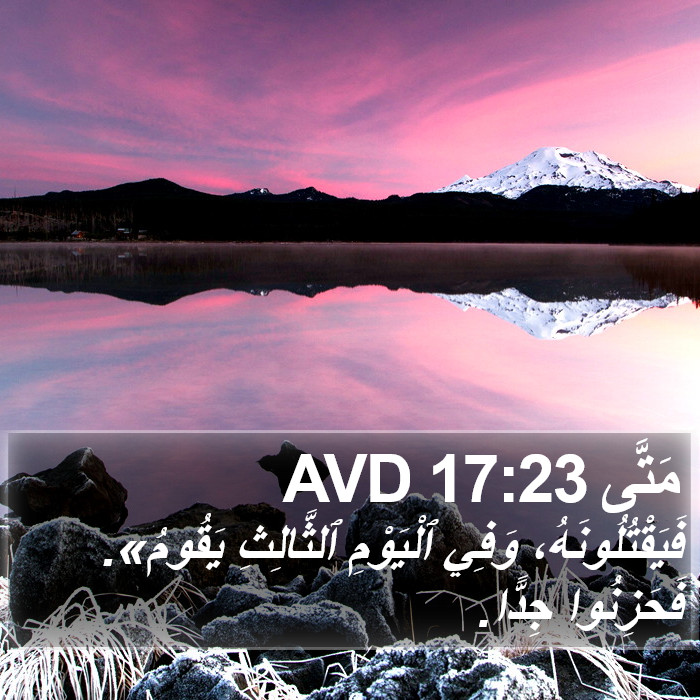 مَتَّى 17:23 AVD Bible Study