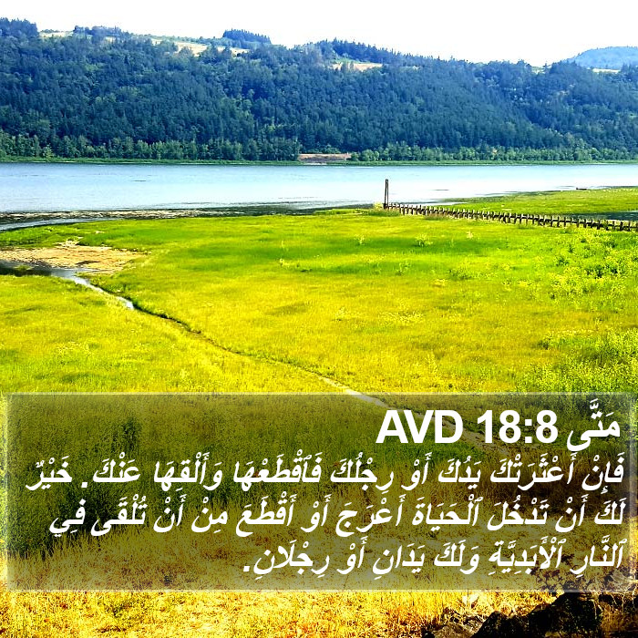 مَتَّى 18:8 AVD Bible Study