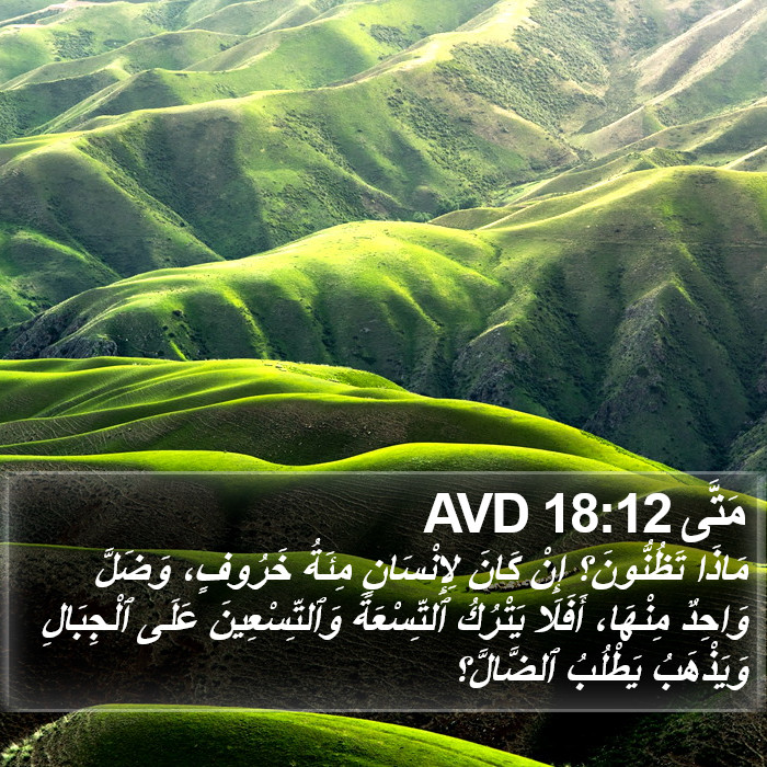مَتَّى 18:12 AVD Bible Study