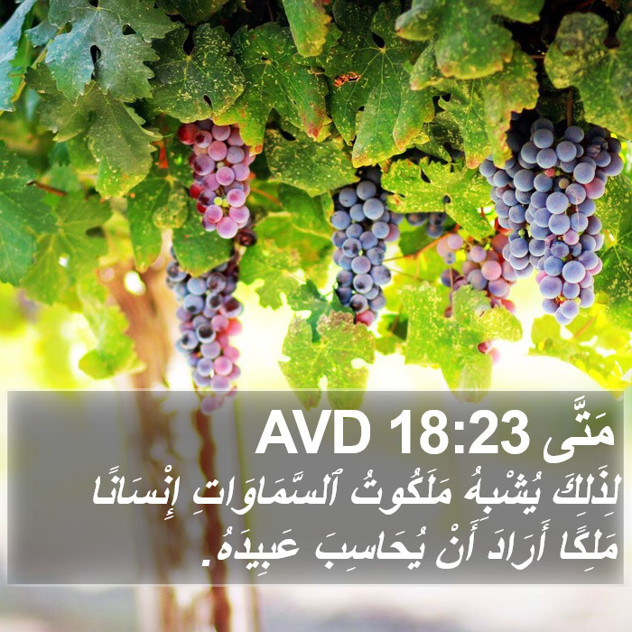 مَتَّى 18:23 AVD Bible Study