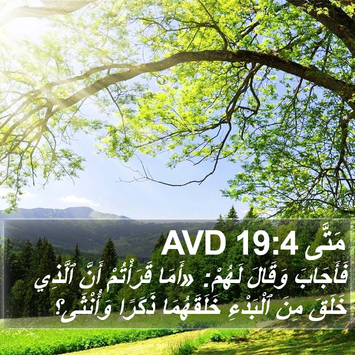 مَتَّى 19:4 AVD Bible Study