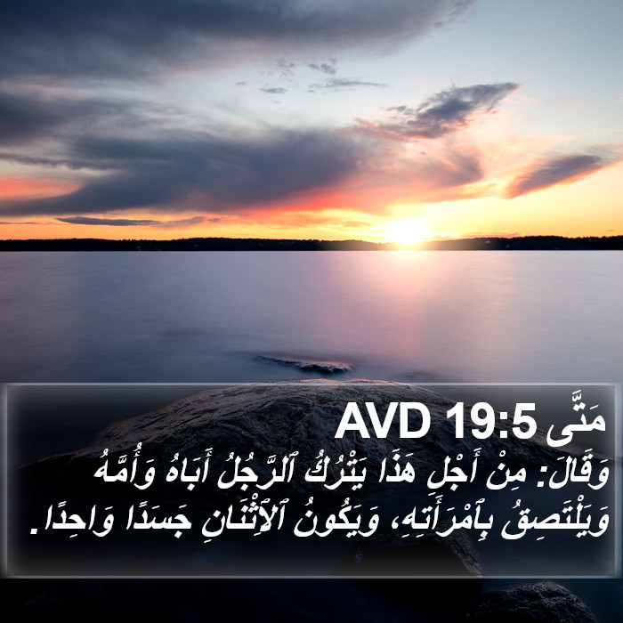 مَتَّى 19:5 AVD Bible Study