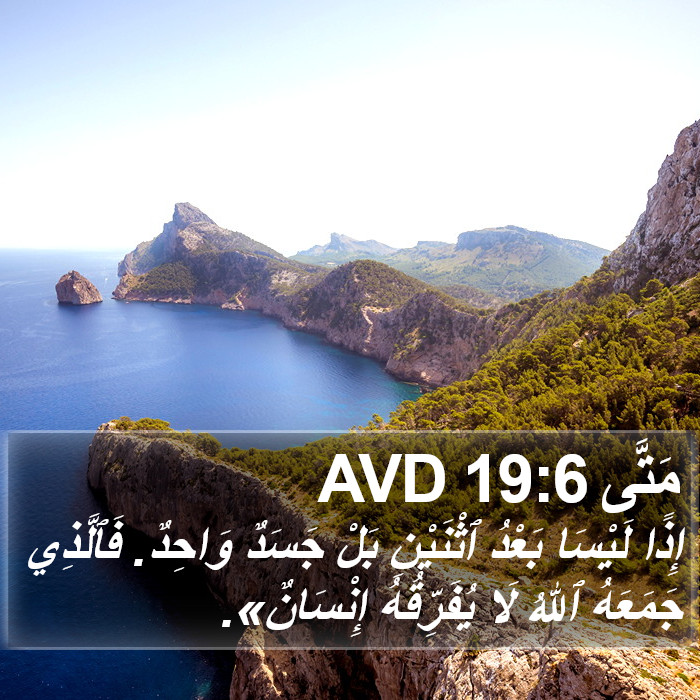 مَتَّى 19:6 AVD Bible Study