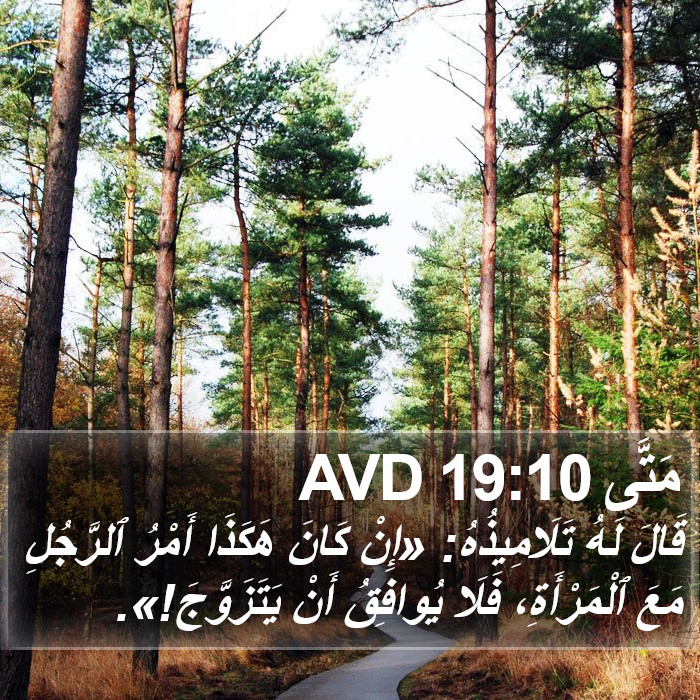 مَتَّى 19:10 AVD Bible Study