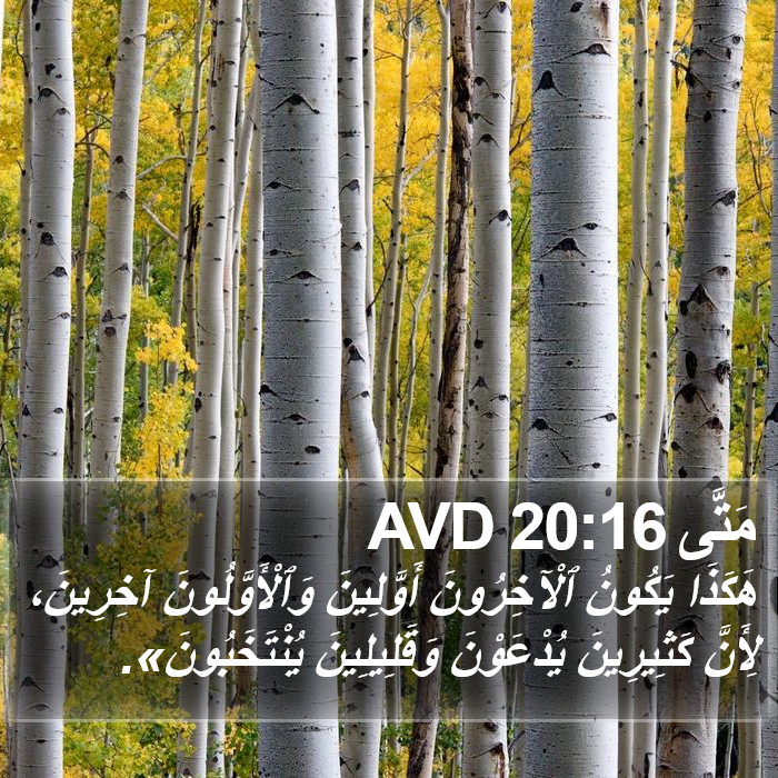 مَتَّى 20:16 AVD Bible Study