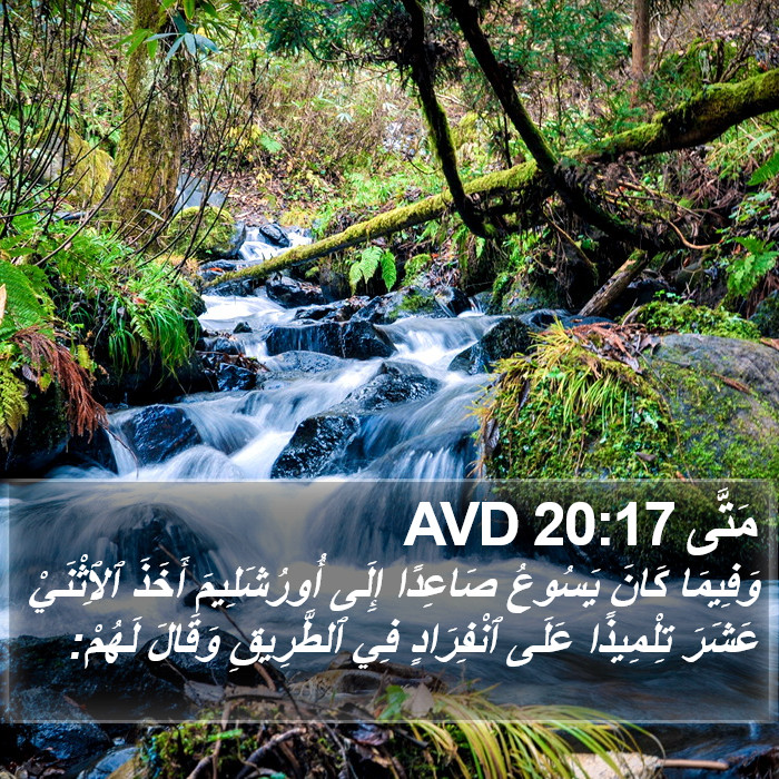 مَتَّى 20:17 AVD Bible Study