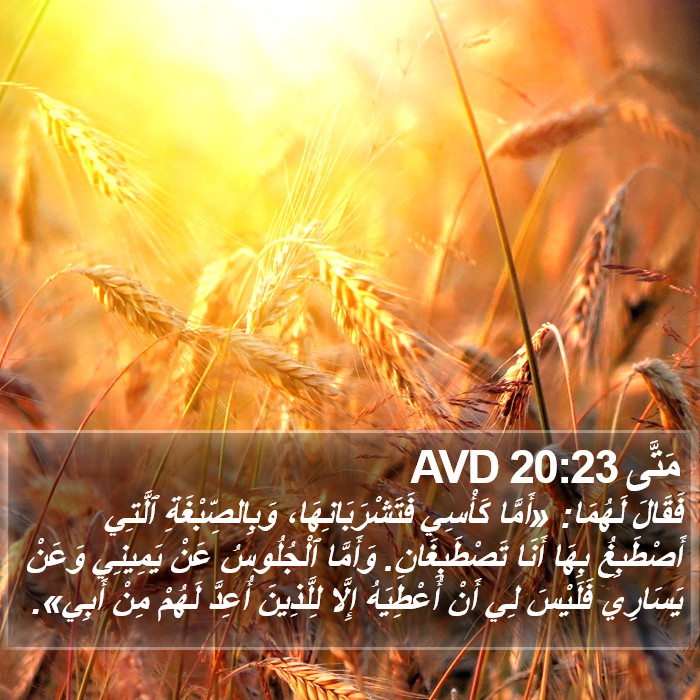 مَتَّى 20:23 AVD Bible Study